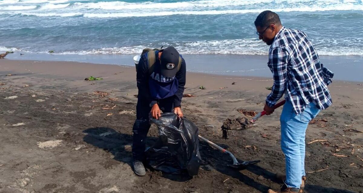Manchas de hidrocarburo tras derrame llegan a Los Tuxtlas y Alvarado, se trabaja en limpieza