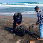 Manchas de hidrocarburo tras derrame llegan a Los Tuxtlas y Alvarado, se trabaja en limpieza