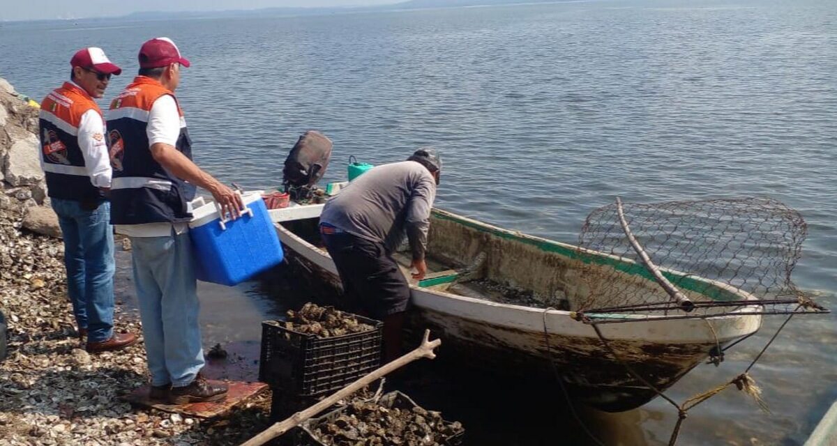 Supervisan pescaderías en temporada de cuaresma y playas de Veracruz para esparcimiento