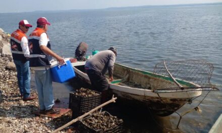 Supervisan pescaderías en temporada de cuaresma y playas de Veracruz para esparcimiento
