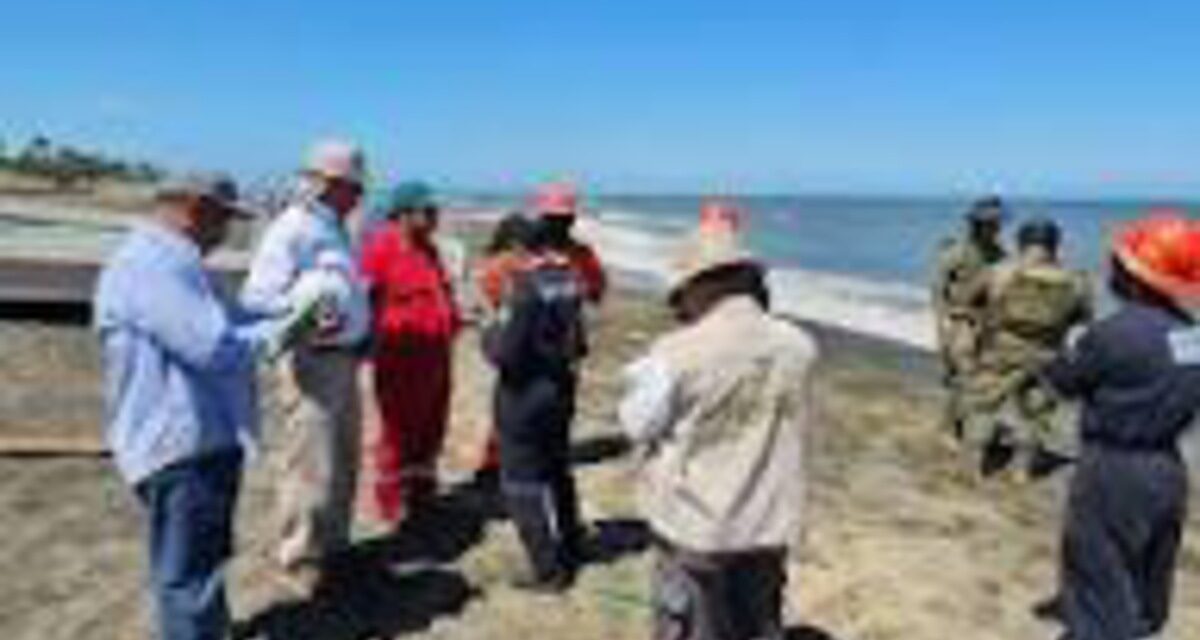 SEMAR y PEMEX continúan con limpieza de playas veracruzanas tras derrame
