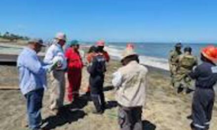 SEMAR y PEMEX continúan con limpieza de playas veracruzanas tras derrame