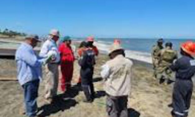 SEMAR y PEMEX continúan con limpieza de playas veracruzanas tras derrame