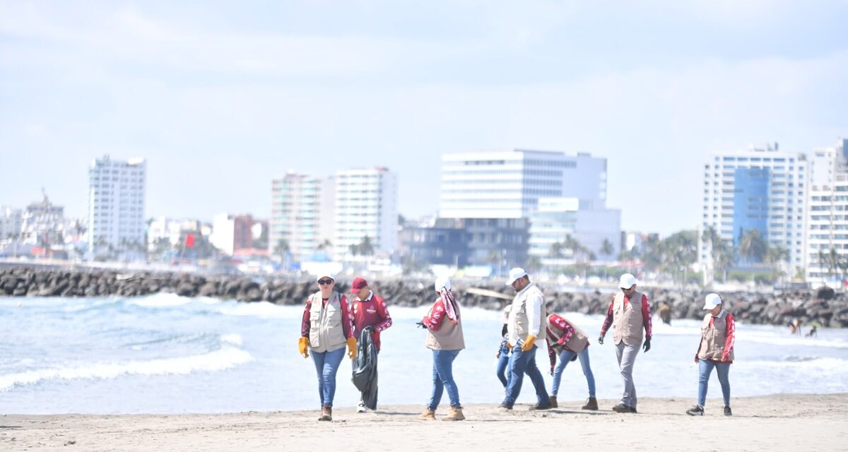 Ubican ‘trazas’ de hidrocarburo en playas de Veracruz y Boca del Río, refuerzan limpieza Federación, Estado y municipios