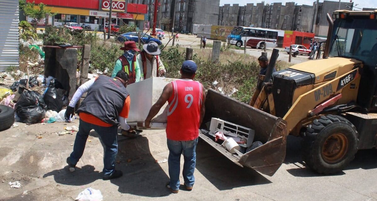 Pedro Miguel Rosaldo el retiro de 133 toneladas de criaderos de dengue en Coatzacoalcos