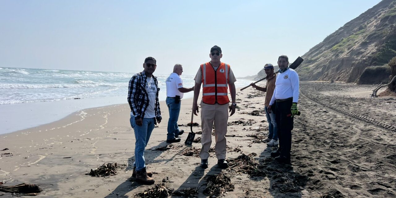 Garantiza PMA limpieza de playas tras arribo de residuos de hidrocarburo