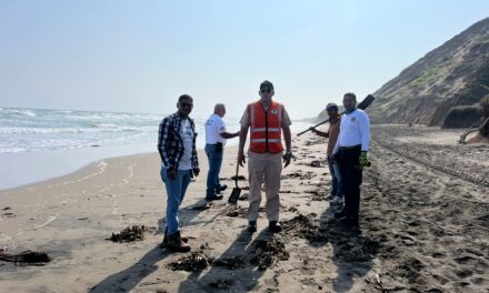 Garantiza PMA limpieza de playas tras arribo de residuos de hidrocarburo