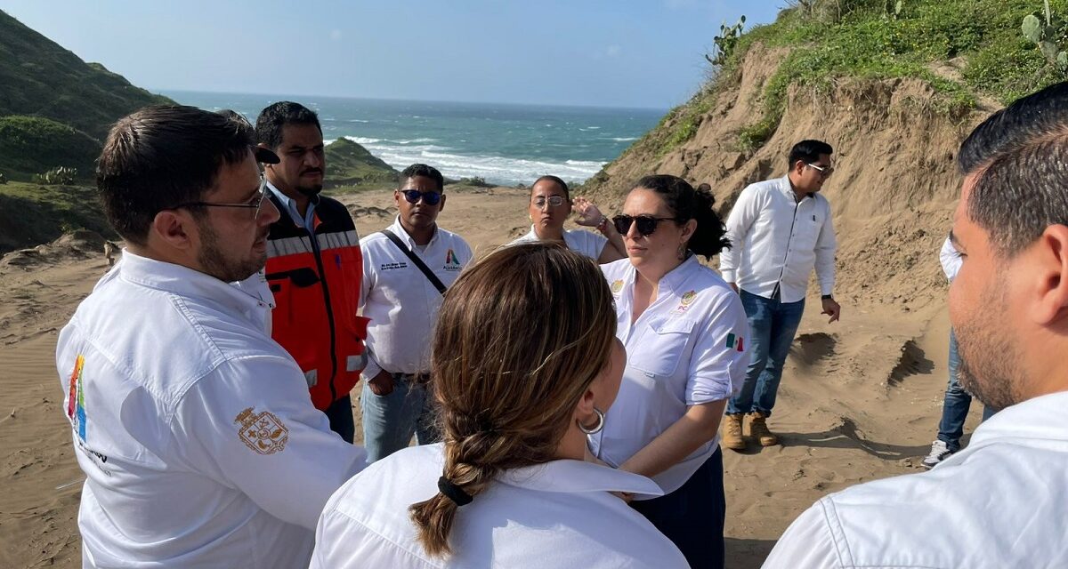 Disminuye presencia de hidrocarburo en playas de Alvarado: PC