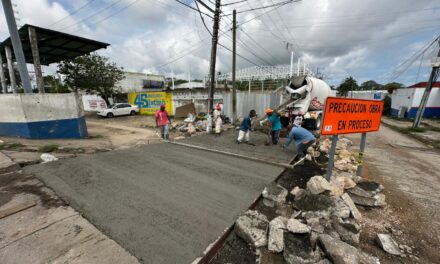 Refuerza Coatzacoalcos rehabilitación vial: intervienen puntos estratégicos en la colonia Petrolera y Av. Transístmica