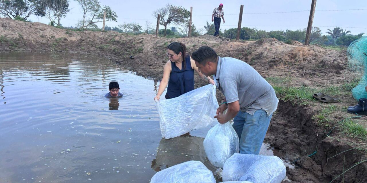 Impulsa Ayuntamiento de Coatzacoalcos infraestructura sostenible en Las Barrillas; fortalecen ganadería y acuicultura