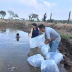 Impulsa Ayuntamiento de Coatzacoalcos infraestructura sostenible en Las Barrillas; fortalecen ganadería y acuicultura