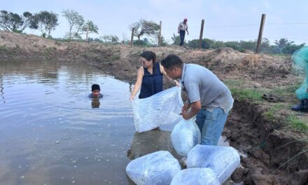Impulsa Ayuntamiento de Coatzacoalcos infraestructura sostenible en Las Barrillas; fortalecen ganadería y acuicultura