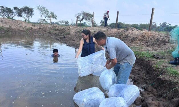 Impulsa Ayuntamiento de Coatzacoalcos infraestructura sostenible en Las Barrillas; fortalecen ganadería y acuicultura