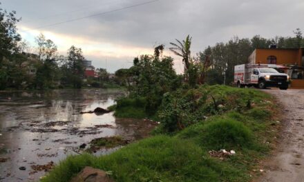 Tormenta deja encharcamientos en calles y colonias sin afectaciones graves en Xalapa