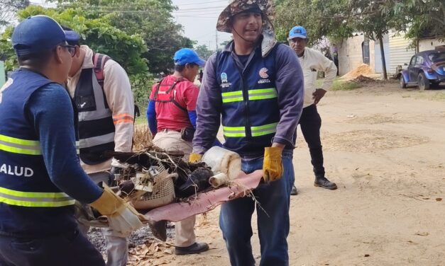 Primera jornada en Villa Allende elimina 94 toneladas de criaderos contra el dengue