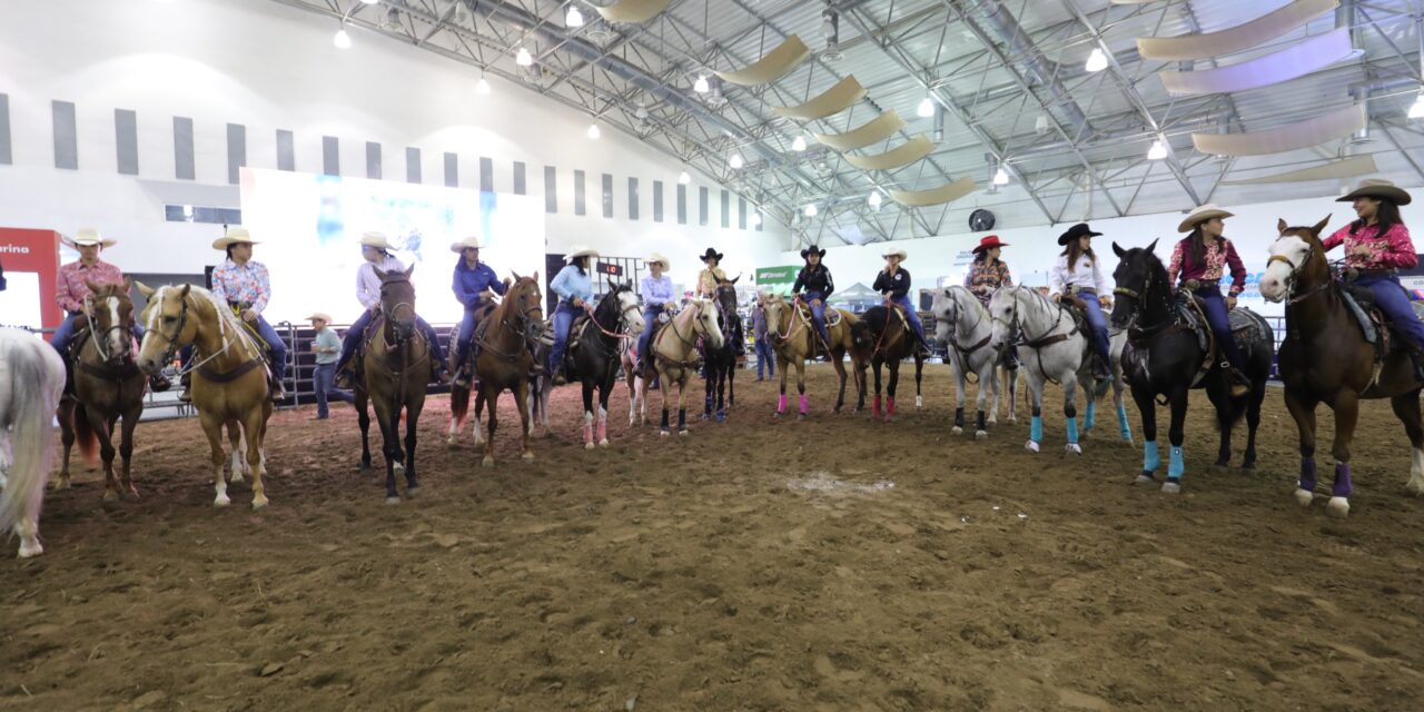 Veracruz, punto de reintroducción del caballo en América del Norte