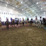 Veracruz, punto de reintroducción del caballo en América del Norte