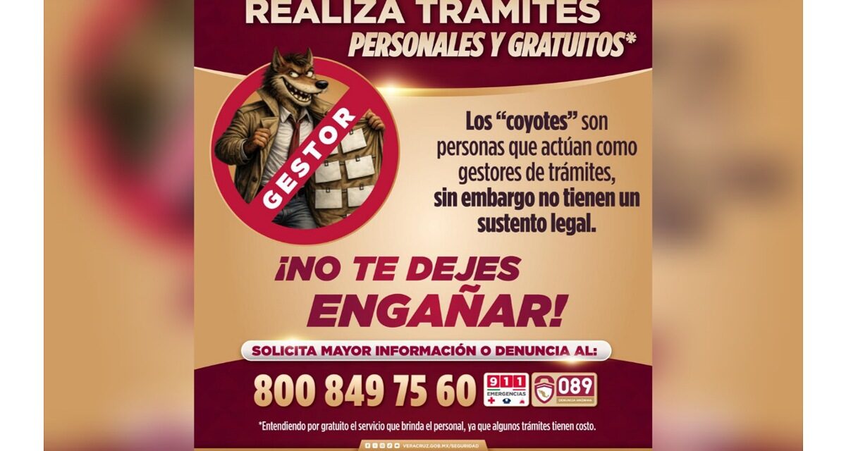 Licencias sin intermediarios: SSP llama a proteger tu trámite y tu dinero