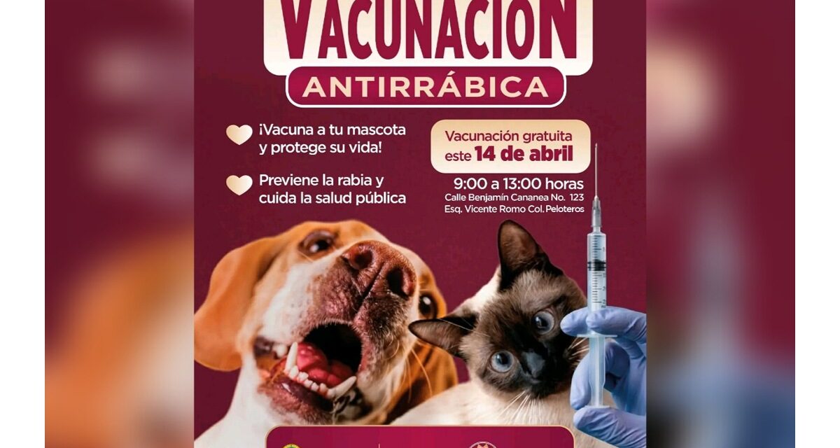 Gobierno de Coatzacoalcos anuncia Jornada de Vacunación Antirrábica en la colonia Peloteros