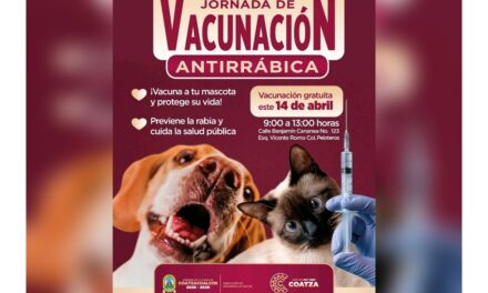 Gobierno de Coatzacoalcos anuncia Jornada de Vacunación Antirrábica en la colonia Peloteros