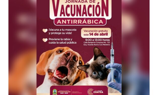 Gobierno de Coatzacoalcos anuncia Jornada de Vacunación Antirrábica en la colonia Peloteros