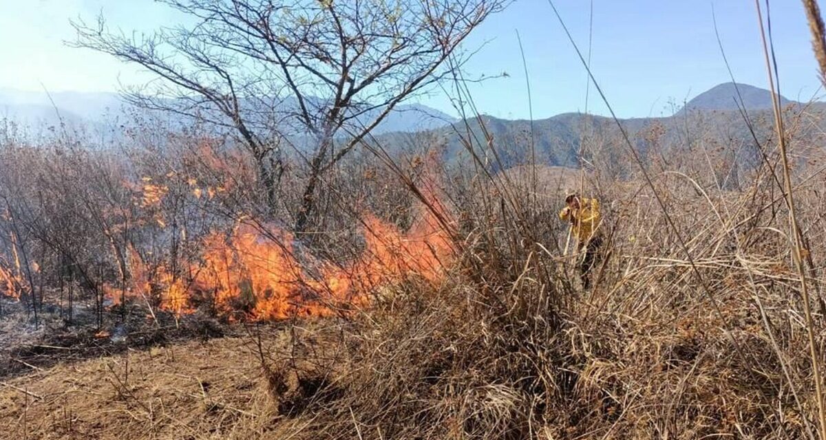 Veracruz registra a la fecha 54 incendios forestales y un municipio con sequía moderada