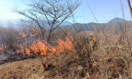 Veracruz registra a la fecha 54 incendios forestales y un municipio con sequía moderada