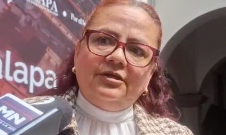 Xalapa contará con 20 ‘Paradas Seguras’ con botón de pánico, QR e información de rutas y horarios