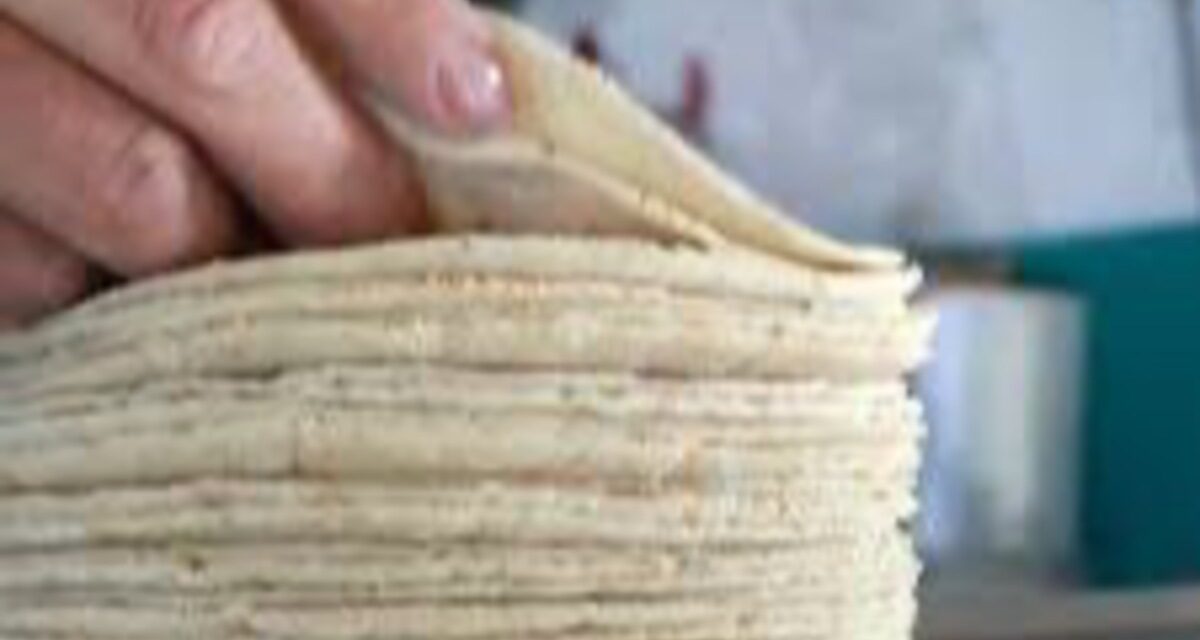Oficialmente no hay autorización para incrementar el precio de la tortilla en el país ni en Veracruz, aclara gobernadora Nahle