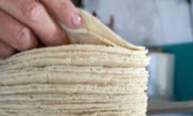 Oficialmente no hay autorización para incrementar el precio de la tortilla en el país ni en Veracruz, aclara gobernadora Nahle