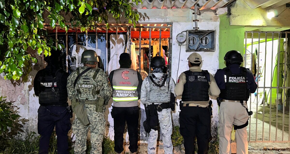 Rescate de 42 caninos en el segundo cateo contra el maltrato animal en Coatzacoalcos