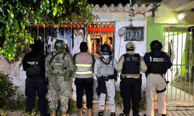 Rescate de 42 caninos en el segundo cateo contra el maltrato animal en Coatzacoalcos
