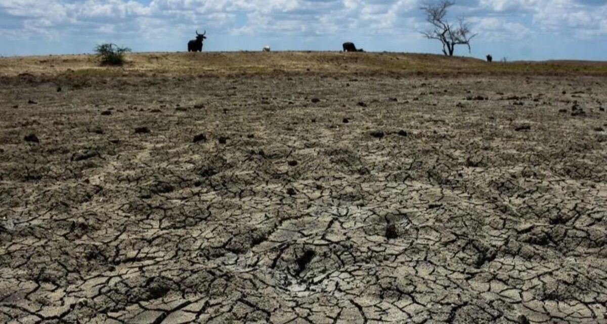Prevén sequía intensa e histórica para 2027 por fenómeno de ‘El Niño’