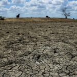 Prevén sequía intensa e histórica para 2027 por fenómeno de ‘El Niño’