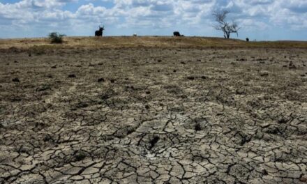Prevén sequía intensa e histórica para 2027 por fenómeno de ‘El Niño’