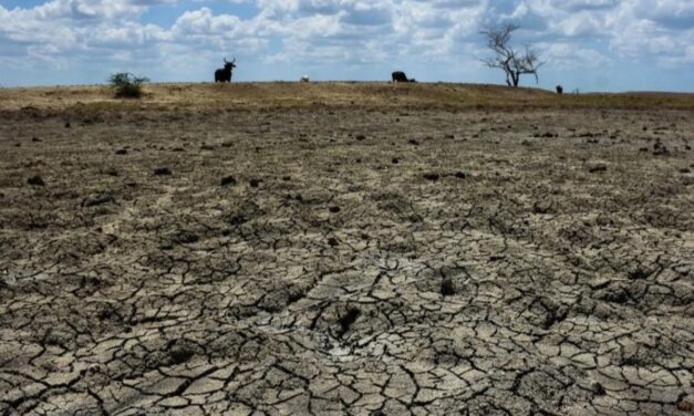 Prevén sequía intensa e histórica para 2027 por fenómeno de ‘El Niño’
