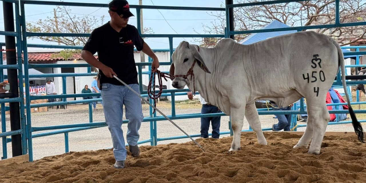 Concluye con éxito la Expo Ganadera 2026 en la Feria de Coatzacoalcos con Gran Subasta