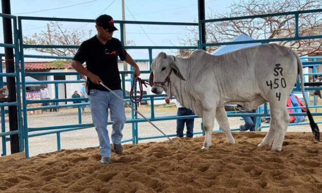 Concluye con éxito la Expo Ganadera 2026 en la Feria de Coatzacoalcos con Gran Subasta