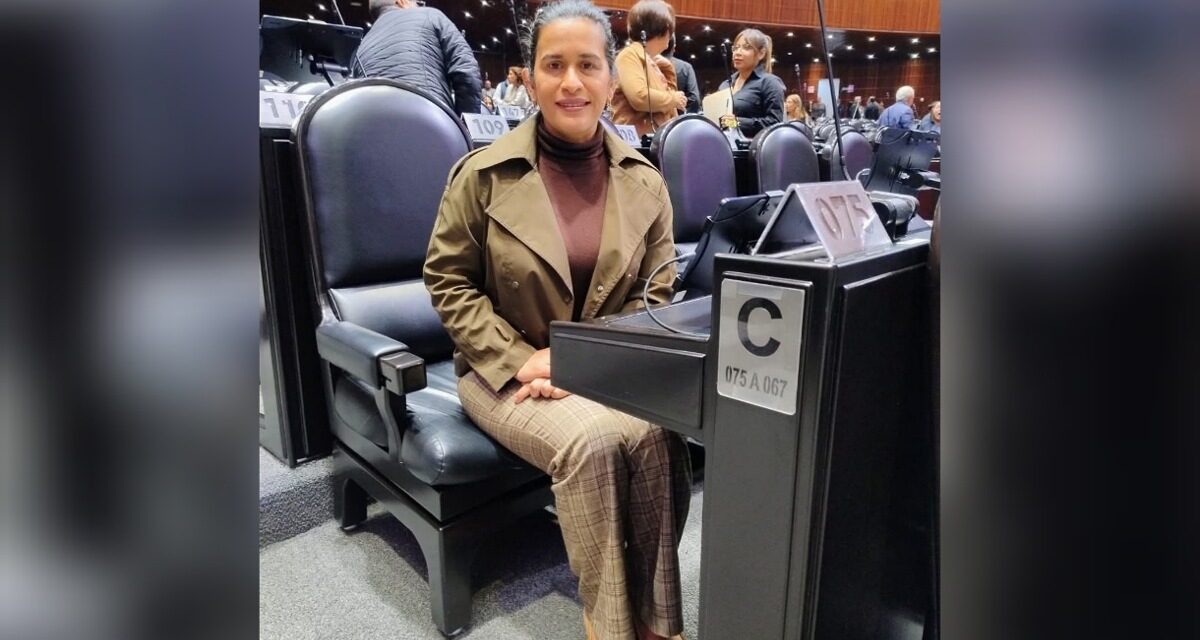 Movimiento Ciudadano miente y odia a Veracruz: Magaly Armenta