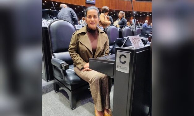 Movimiento Ciudadano miente y odia a Veracruz: Magaly Armenta