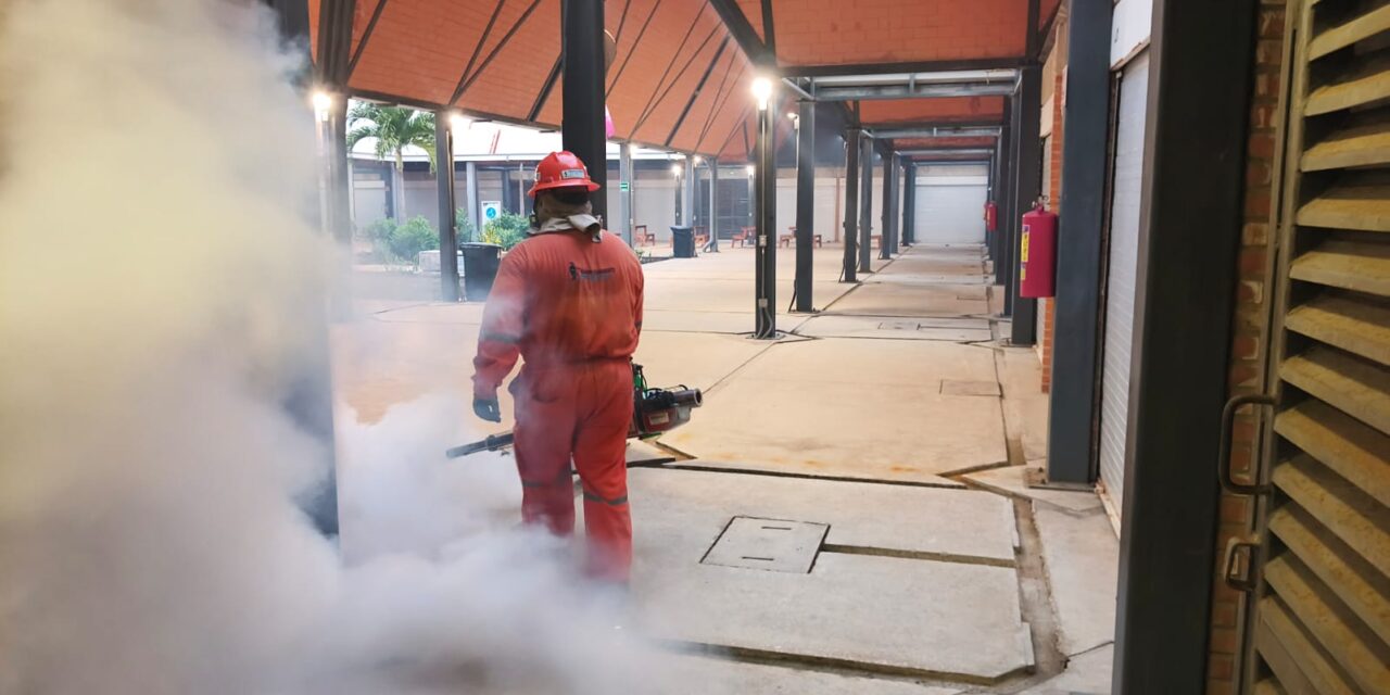 Impulsa Ayuntamiento saneamiento y dignificación de centros de abasto