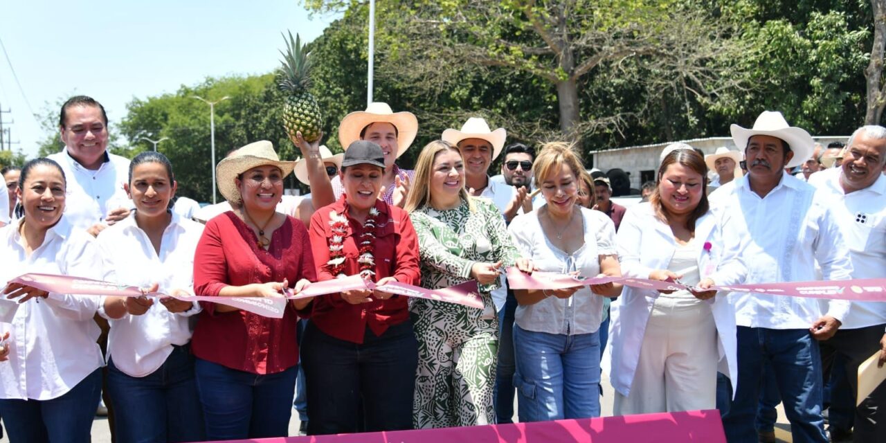 El contrapeso colaborativo