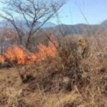 Registra Veracruz 56 incendios forestales durante 2026, se ubica en el lugar 17 a nivel nacional
