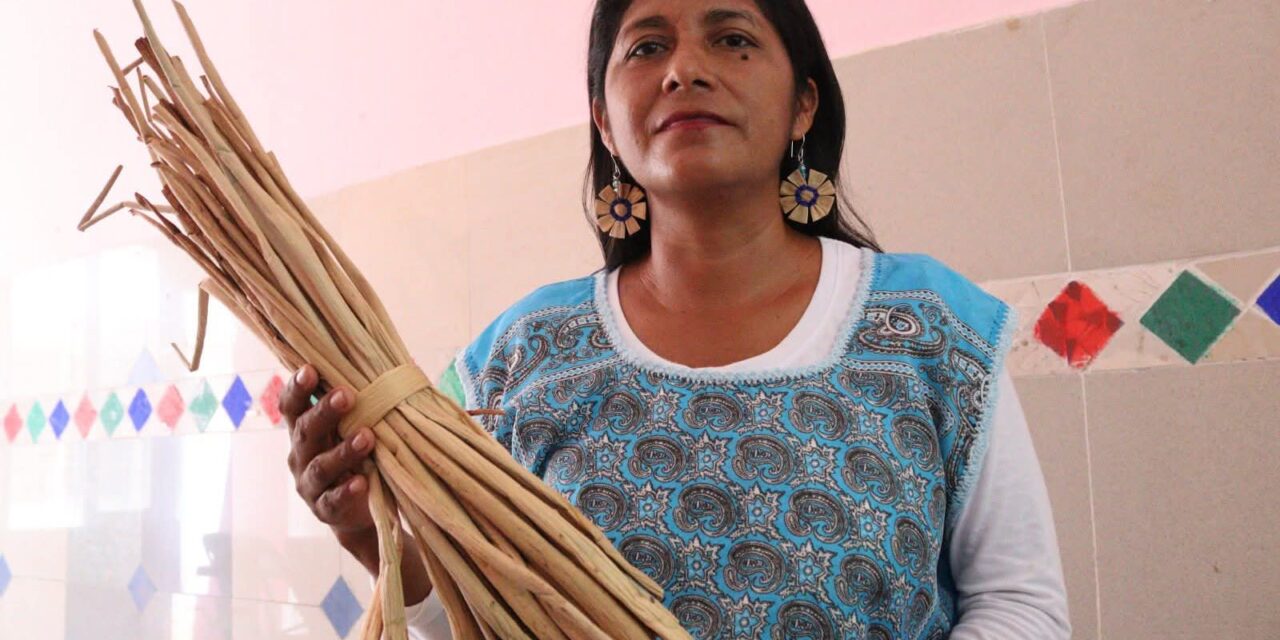 Aprende a tejer con lirio acuático: el DIF Coatzacoalcos abre taller para emprendedores
