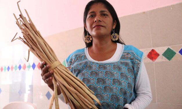 Aprende a tejer con lirio acuático: el DIF Coatzacoalcos abre taller para emprendedores