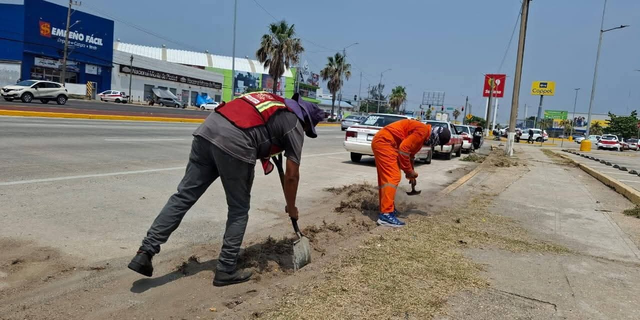 Ejecutan labores de limpieza integral y mantenimiento vial en la Avenida Universidad de Coatzacoalcos