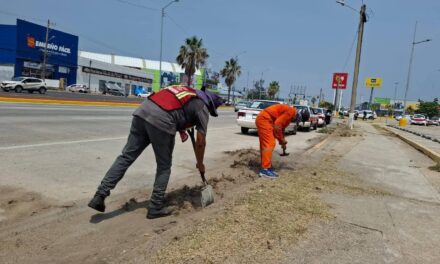 Ejecutan labores de limpieza integral y mantenimiento vial en la Avenida Universidad de Coatzacoalcos