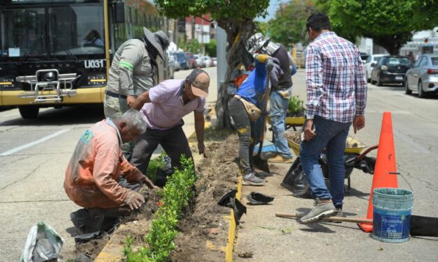 Implementan programa de reforestación e imagen urbana en la Avenida Zaragoza de Coatzacoalcos