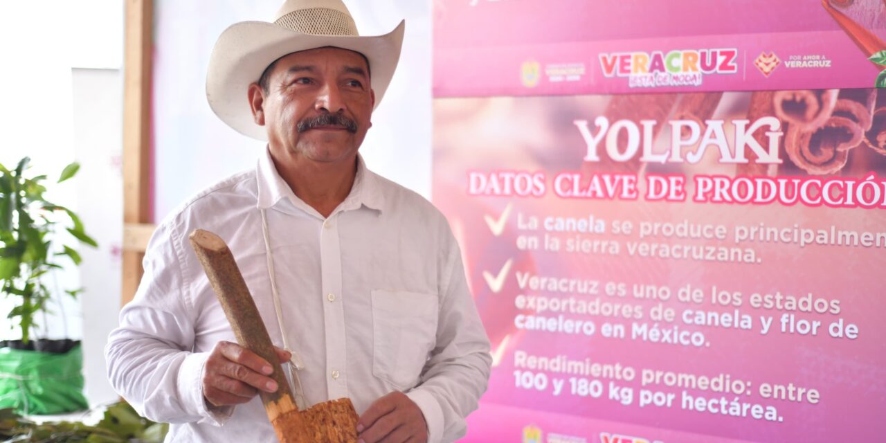 Yolpaki, vitrina viva de los saberes y la riqueza de la tierra veracruzana