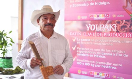 Yolpaki, vitrina viva de los saberes y la riqueza de la tierra veracruzana